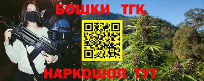стаф Сланцы