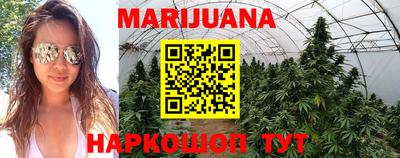 стаф Сланцы