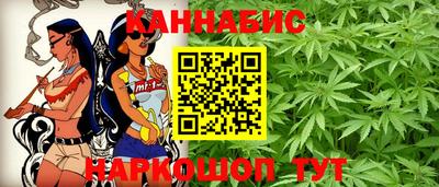 стаф Сланцы