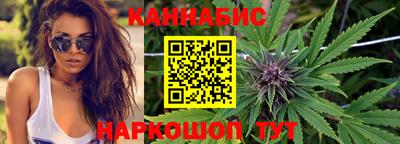 стаф Сланцы